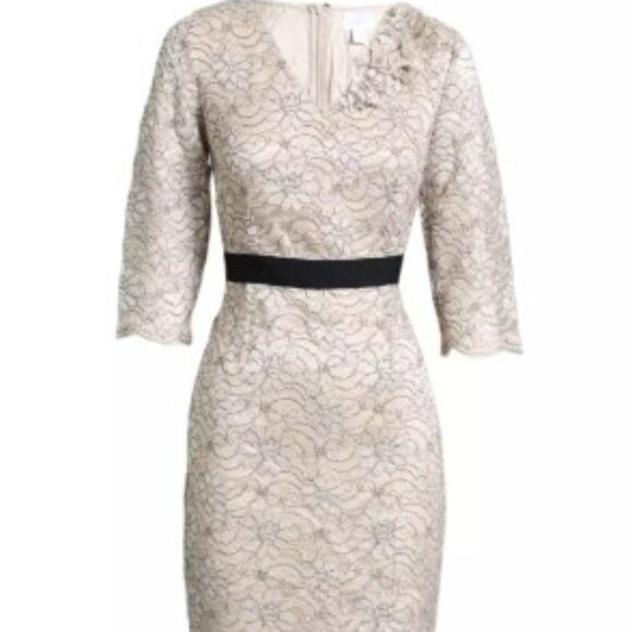 Banana Republic Champagne Metallic Lace Style Dress w Black Waistband Size 10 - Picture 3 of 10